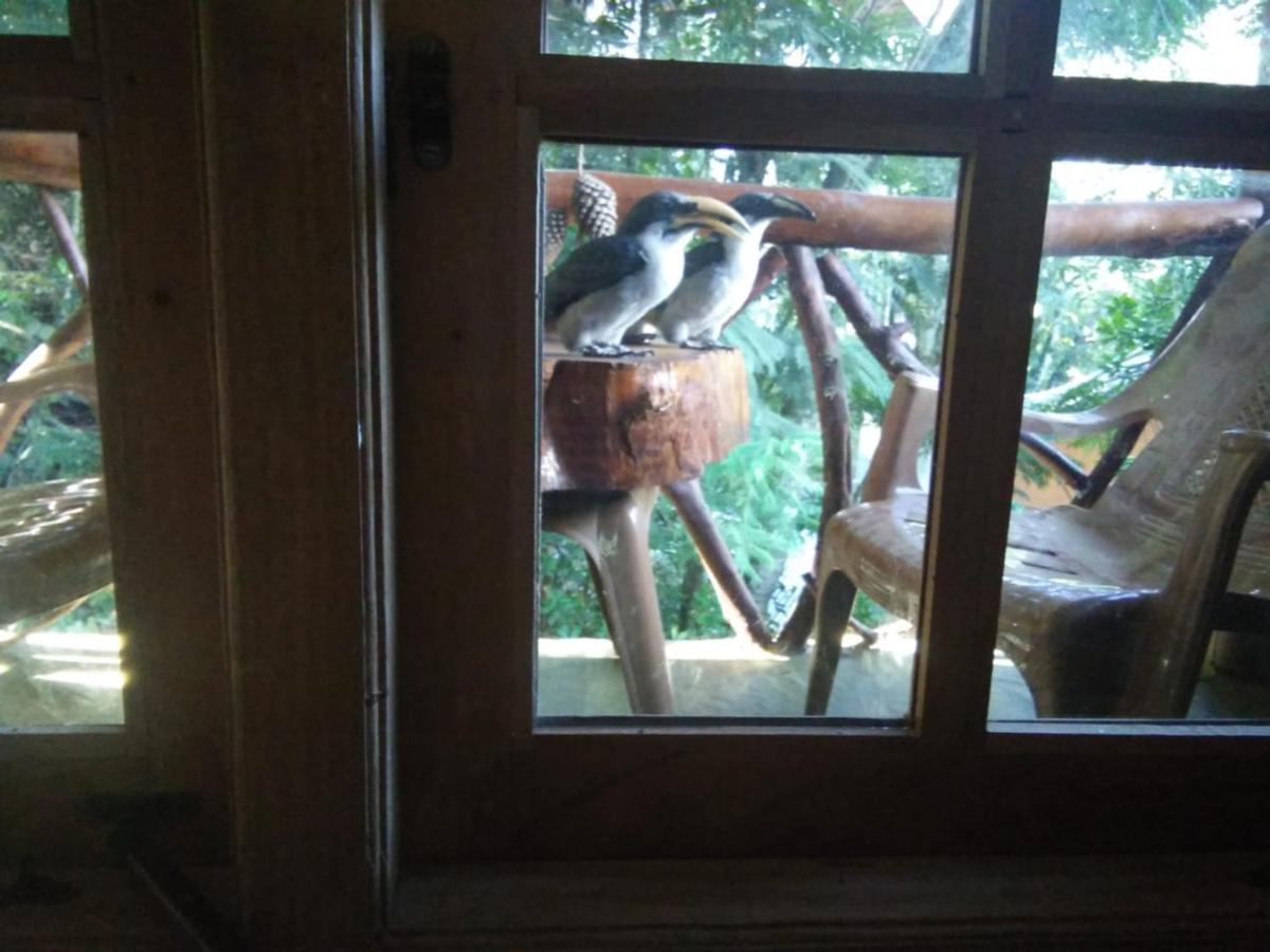 Chamathka Homestay Елла Екстер'єр фото